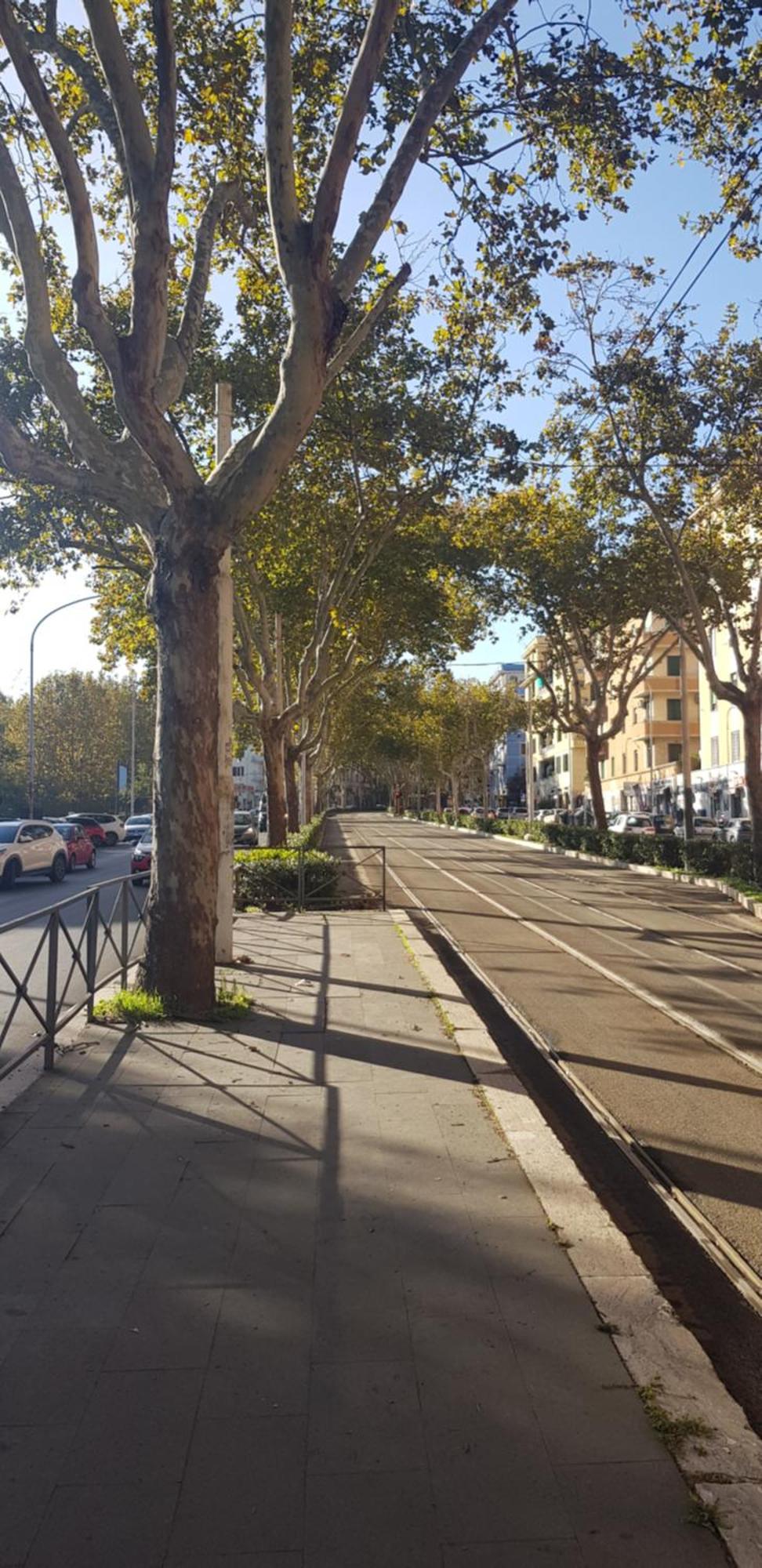 Trastevere Residenze Rome Exterior photo